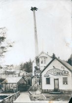 Chief Johnson totem pole and house