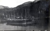 Barges "Louisiana" and "America"