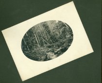 Libe Album Page-42.jpg