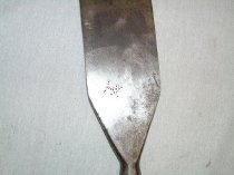 Slick, close up back view