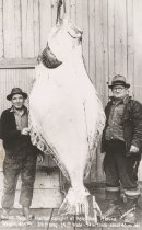 Men with Halibut