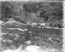 Group on the shoreline of a beach