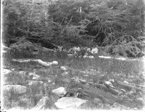 Group on the shoreline of a beach