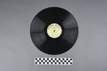 Vinyl Record (Scale)