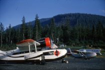 Alaska Coastal - Ellis Airlines Goose