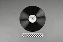 Vinyl Record (scale)