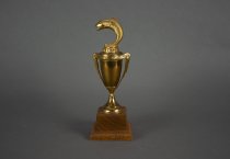Trophy - back view