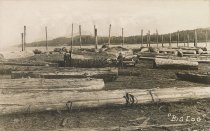 Logs on the beach at low tide "Big Log"