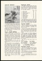 Ward Cove Alert 1961 page 2 of 6