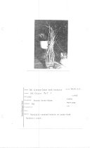 Xerox Copy - Replace When Scanned 81-2-2