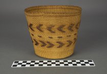 Basket with CM ruler