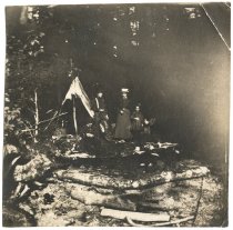 Dr. Dickinson and the Chesney girls