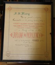 17.3.007, Diploma