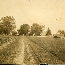 Mosside, driveway, front view