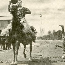 Camp Lee, Words Champion Roper at Veterinary School, WW I
