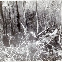 Airplane Accident, Investigating