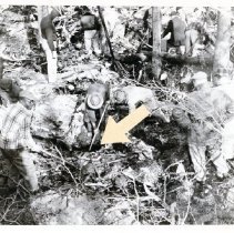 Airplane Accident,, '3 col dp spot'