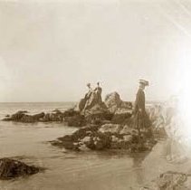 Negative, Glass-plate