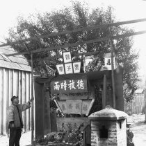Negative, Glass-plate