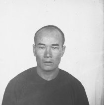 Negative, Glass-plate