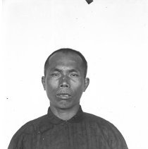 Negative, Glass-plate