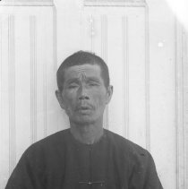 Negative, Glass-plate