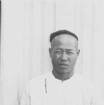 Negative, Glass-plate