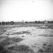 Negative, Glass-plate