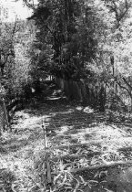 Public steps next to 60 Summit Ave, 1982