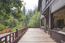 Burlwood deck and backyard