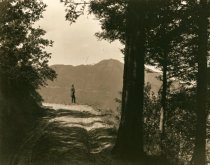 View of Mt. Tamalpais with man, circa 1900