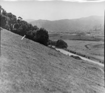 View of East Blithedale Avenue with overpass, 1952