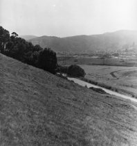 View of East Blithedale Avenue with overpass, 1952