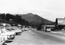 Miller Avenue looking north toward town with Mount Tamalpais in backgound,