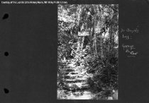 "The Storm" : Storm Damage to Dr. Boyd's Garage, 1925 (Original Format)