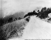 FIre on Mt. Tamalpais, 1929