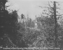 Remains of residence after Mt. Tamalpais Fire, 1929