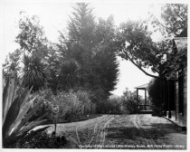 Road in front of Blithedale Hotel, date unknown