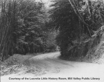 Road to Muir Woods, circa 1920s