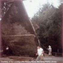 Raising a Concrete Wall, 1965