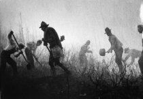 Volunteer firemen at Mt. Tamalpais Fire, 1929