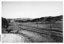 Marsh between E. Blithedale Ave. and Almonte Blvd.,circa 1940s or 1950s.