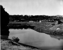 Mill Valley Marshlands, 1962