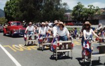 Precision Book Cart Drill Team in the Memorial Day Parade, 2001
