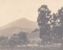 Early Mill Valley with Mt. Tamalpais in background, date unknown