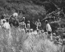 Elizabeth Terwilliger, circa 1969