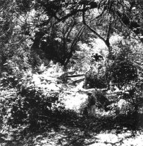Steep Ravine, near former site of Thaddeus & Ludmilla Welch's cabin, circa