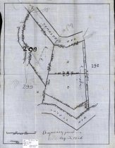 Argiewicz Purchase, 1924