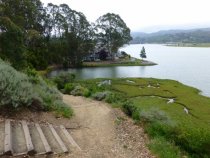 Pickleweed Inlet seen from pedestrian trail, 2016