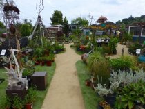 CNL Native Plant Nursery yard, 2016